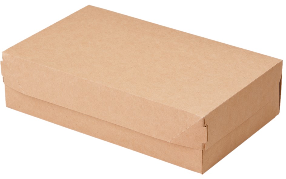 Контейнер 230x140x60 ECO CAKE 1900 к-300