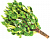 Веник (береза) 